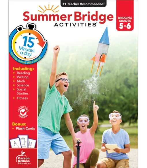 A book cover with pictures of people and kites.