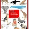 A poster of different animals and their names.