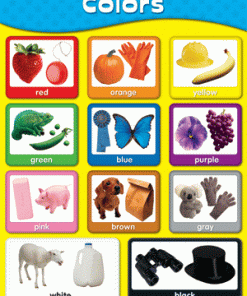 A poster of different colors and shapes
