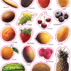 A bunch of different fruits that are in the picture.