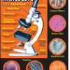 A poster of microscopes and their features.