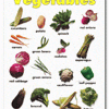A poster of vegetables with the names of them.