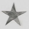 A silver star is sitting on top of the floor.
