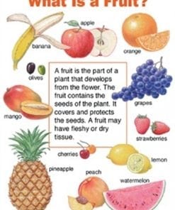 A fruit poster with many different fruits and words.