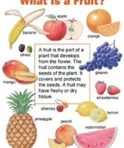 A fruit poster with many different fruits and words.