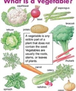 A vegetable is any edible part of a plant that does not contain the seed.