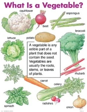 A vegetable is any edible part of a plant that does not contain the seed.
