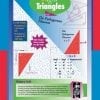 A poster of triangles and their names.