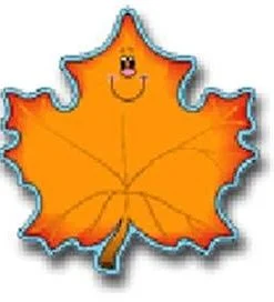 A leaf with a smiling face on it.