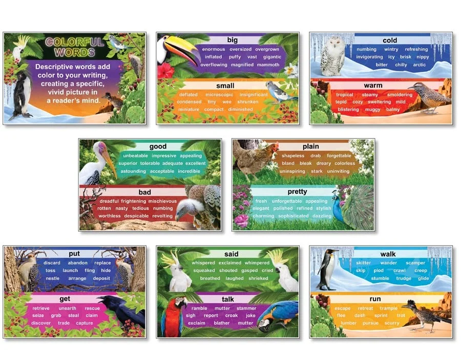 A series of colorful pictures with different words.