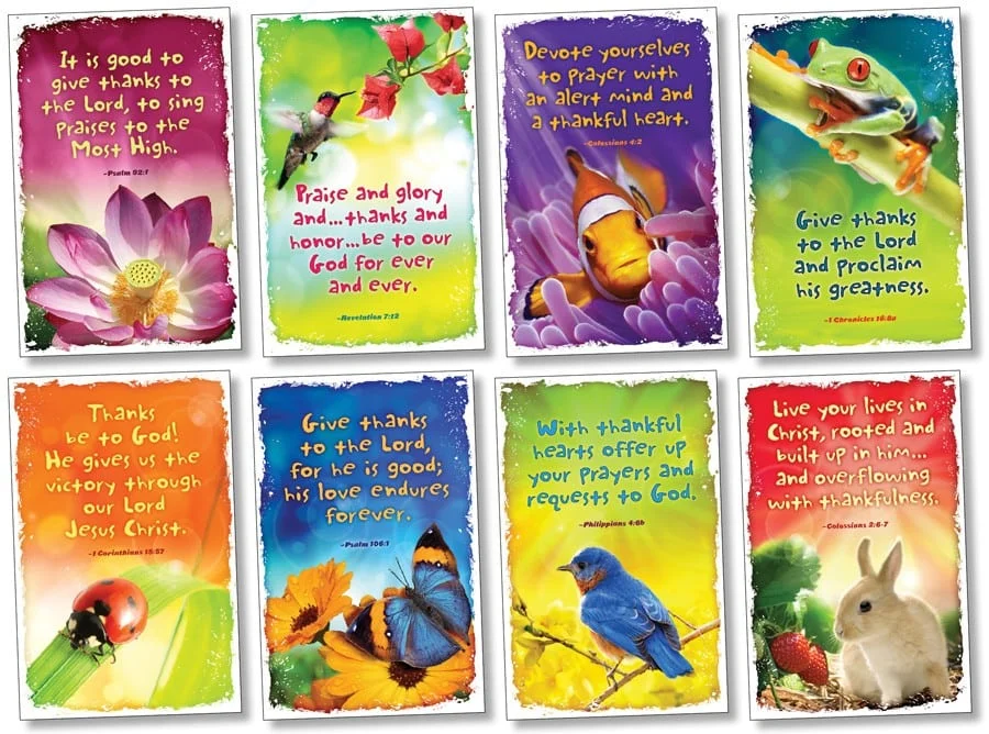 A set of eight cards with different colored designs.