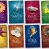 A series of books with different pictures on them.