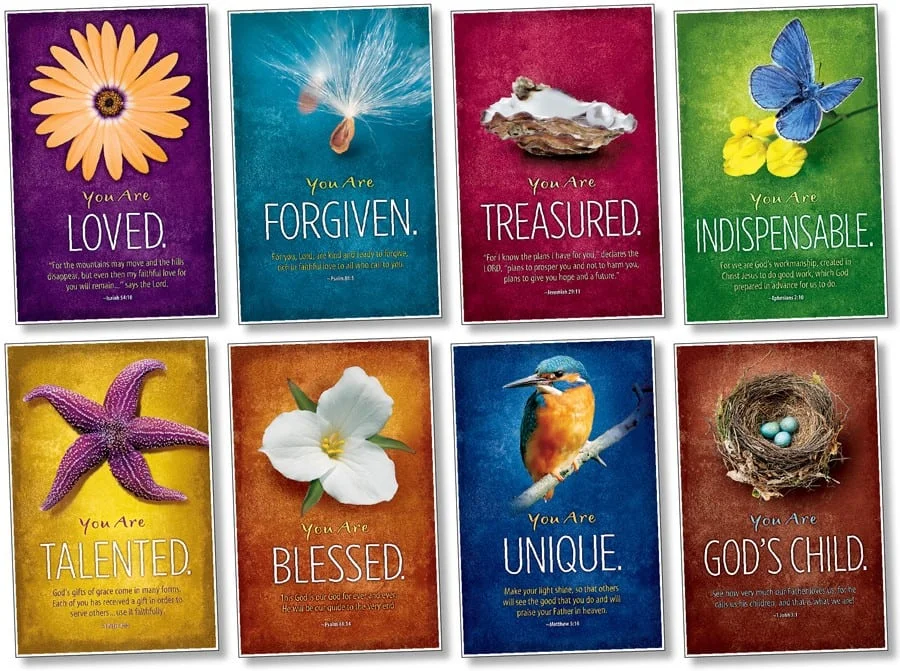 A series of books with different pictures on them.