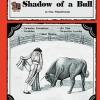 A book cover with an image of a bull and a person.