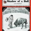 A book cover with an image of a bull and a person.