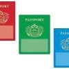 Three different colored passports are shown in a row.