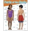 A poster of two children with the words " parts of the body ".