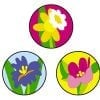 A set of three flowers with different colors.