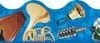 A blue guitar with a white face and a yellow neck