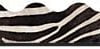 A zebra print border with black and white stripes.