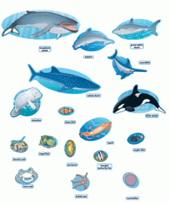 A variety of sea animals are shown in this image.