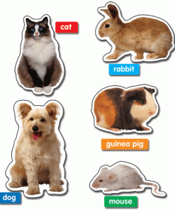 A group of animals that are sitting in front of each other.