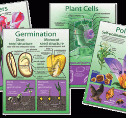 A series of posters showing different types of plants.