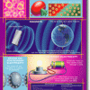 A series of images showing different types of electrical devices.
