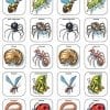A bunch of different bugs that are in squares