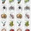 Illustrated insects arranged in rounded squares