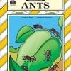 A book cover with ants on it