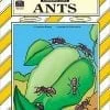 A book cover with ants on it