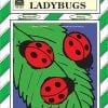 A book cover with three red and black ladybugs on leaves.