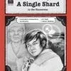 A single shard in the classroom