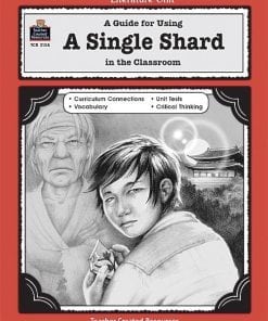 A single shard in the classroom