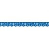 A blue and white border with stars on it.