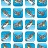 A series of pictures with penguins flying in the air.