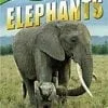 A large elephant and its baby in the grass.