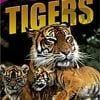 A book cover with three tigers in the grass.